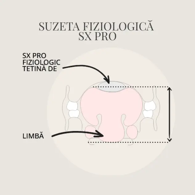Set 2 suzete fiziologice Suavinex Wild&Free SX PRO 0-6L Fosforescente Beige 19 foto3 ro 10273